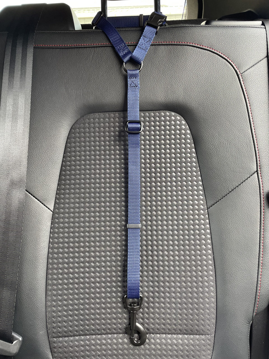 Car Seat Belt (for use with harness only)
