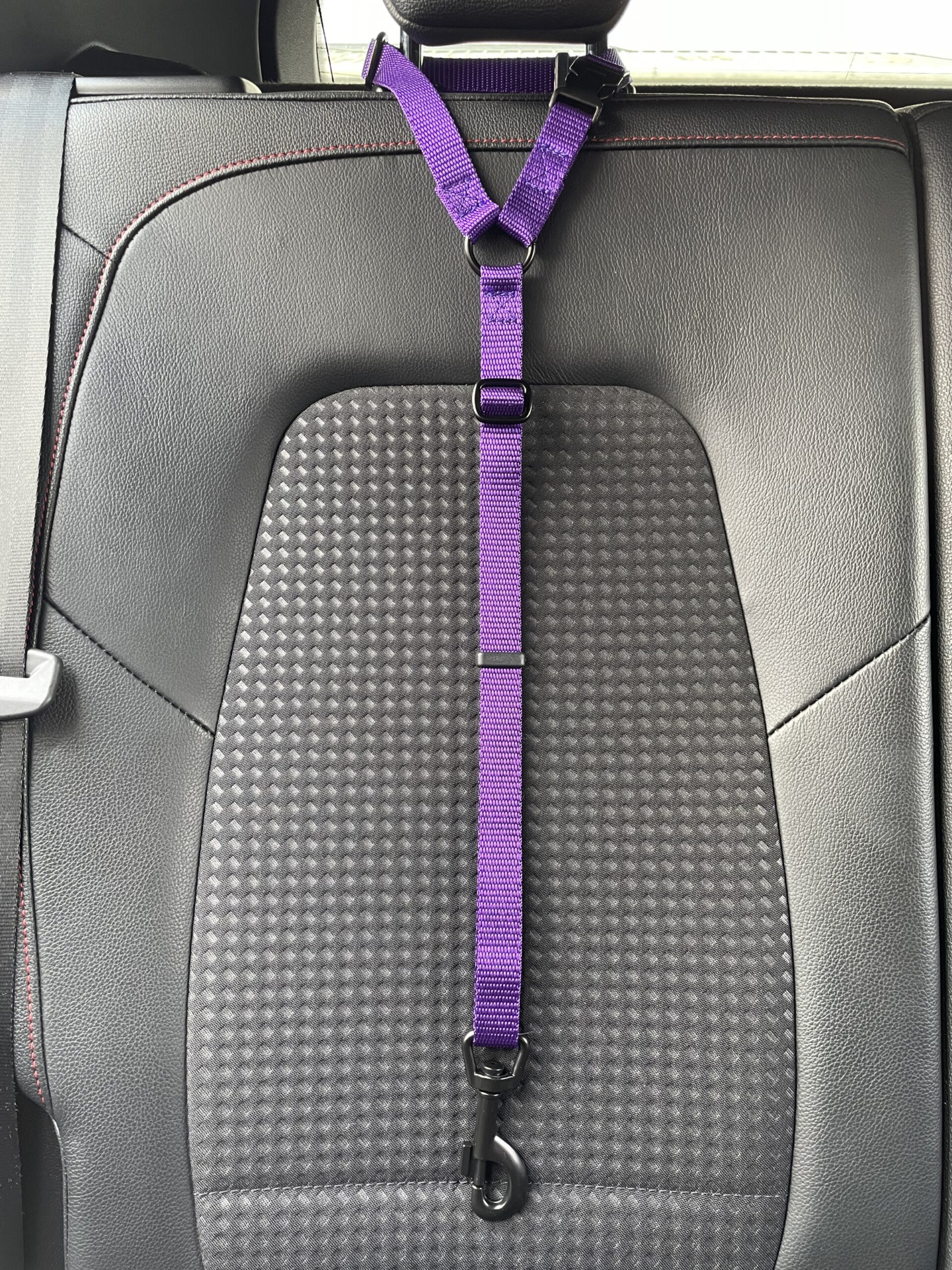Car Seat Belt (for use with harness only)