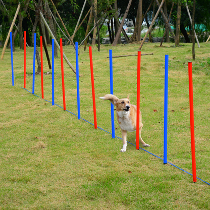 PawHut Pet Agility Training Equipment Dog Play Run Obedience Training Set Adjustable (Poles)