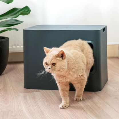 Hoopo Cat Litter Box Dome Grey - Modern Design, Easy to Clean